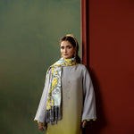 Silver Lime Ombre Set — full look | Sachi Vera Pakistan